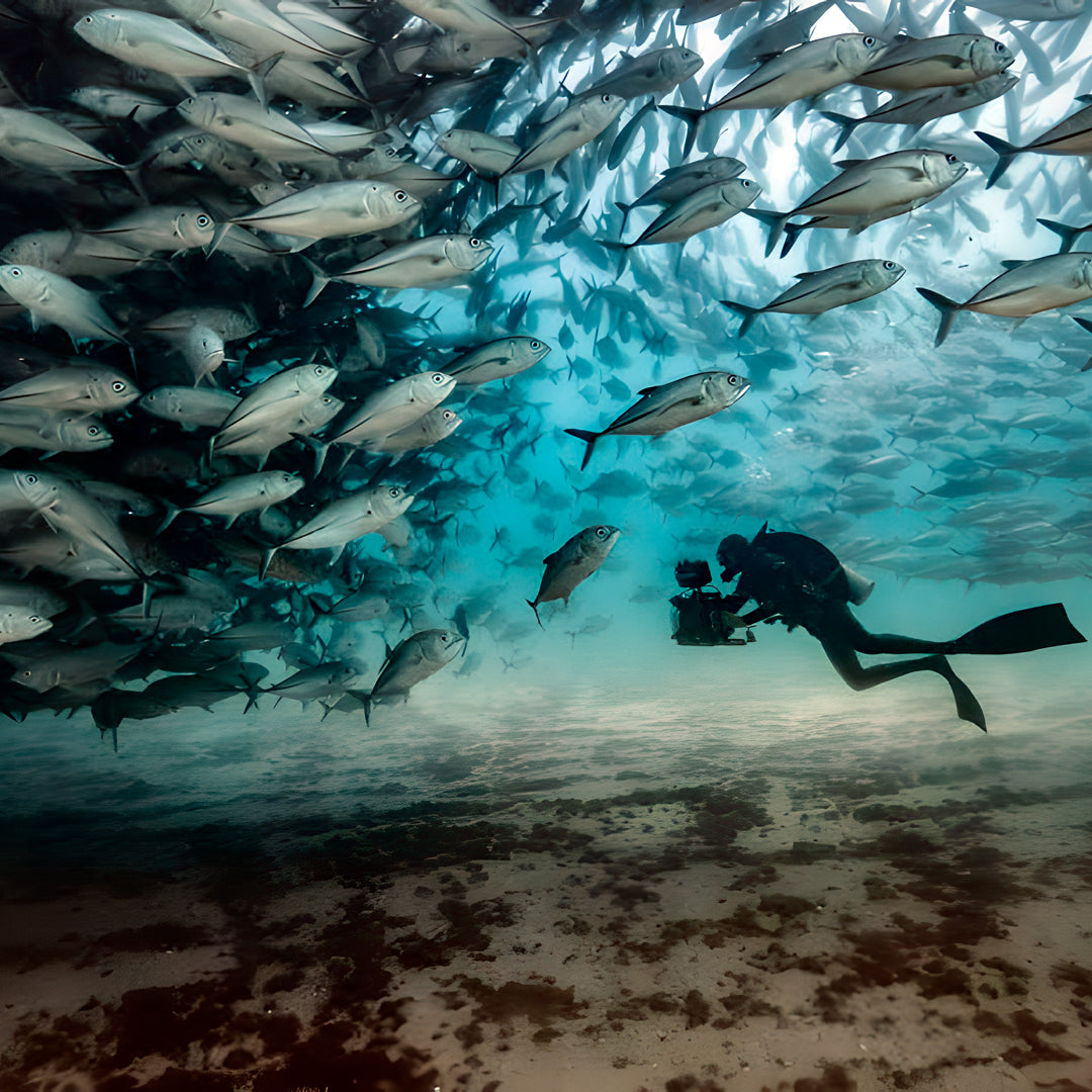Queensland SDI Sidemount Diver Course