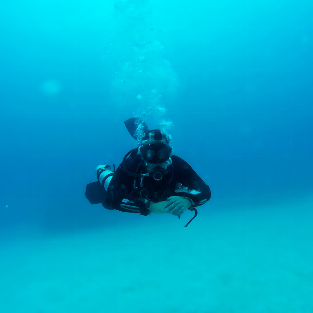 Scubility Surface Buddy Course in Queensland