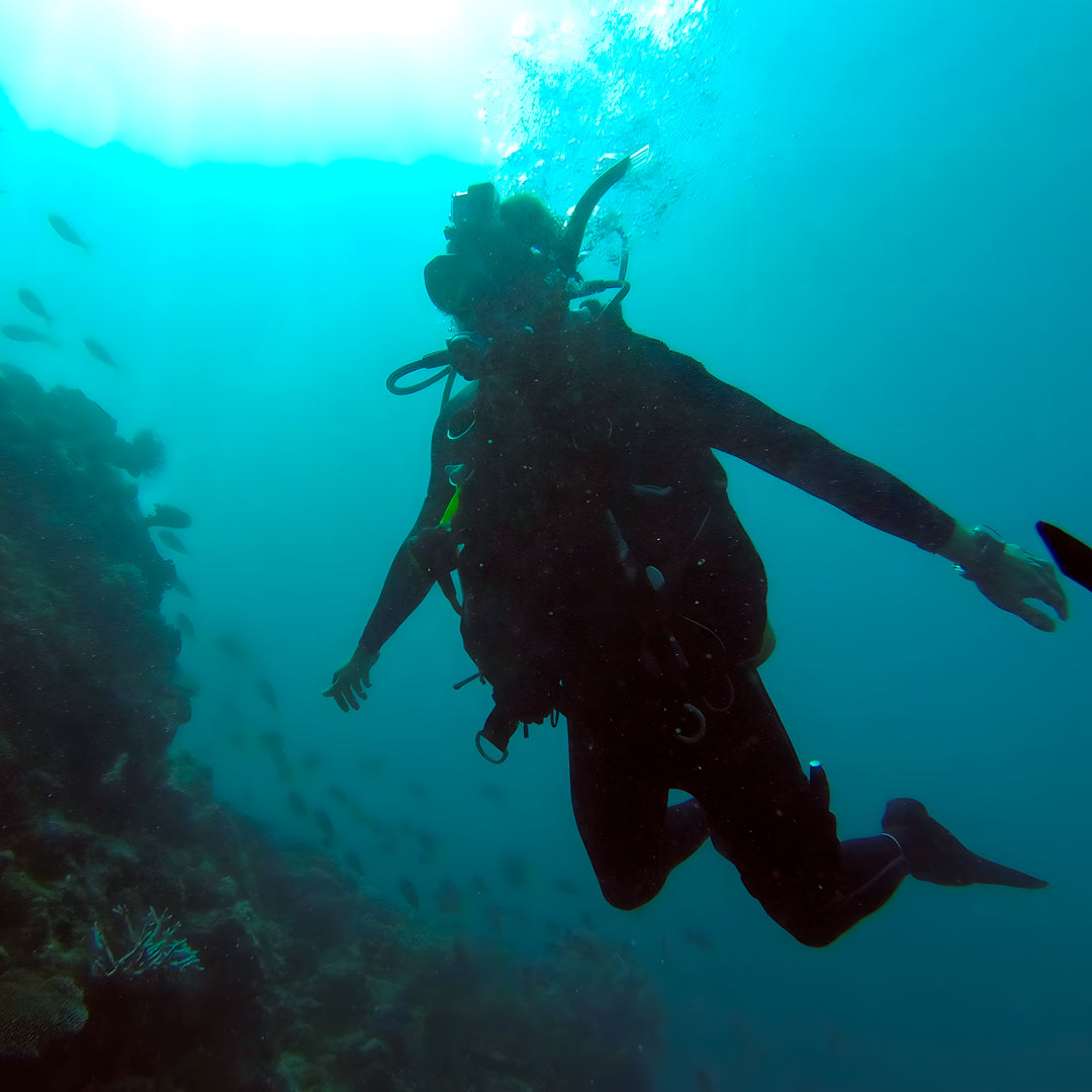 Queensland SDI Solo Diver Course