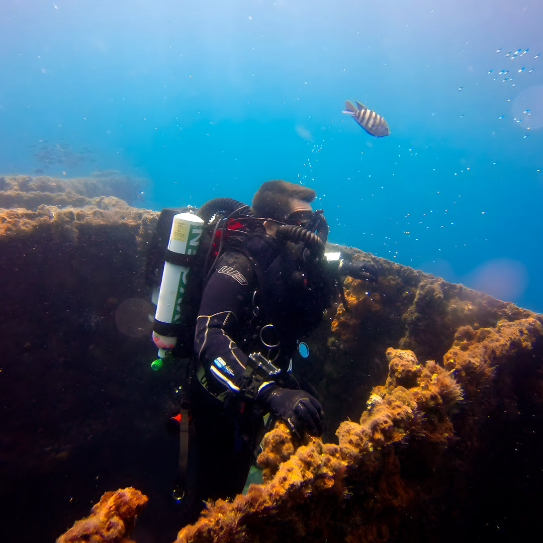 Scubility Surface Buddy Course in Queensland