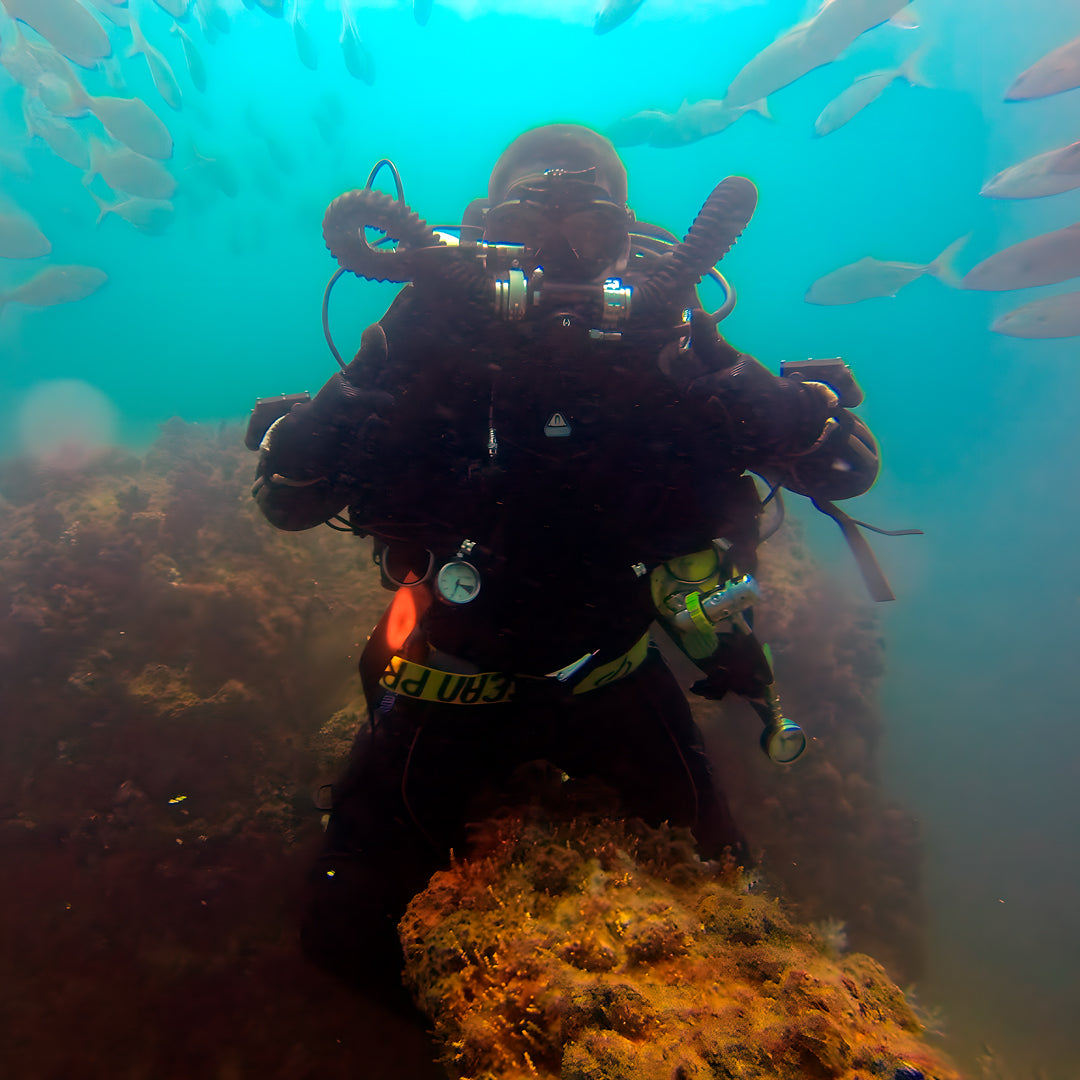 Queensland SDI Scubility Discovery Dive