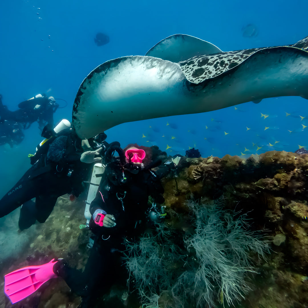 Deep Diver Specialty Diving Course in Queensland