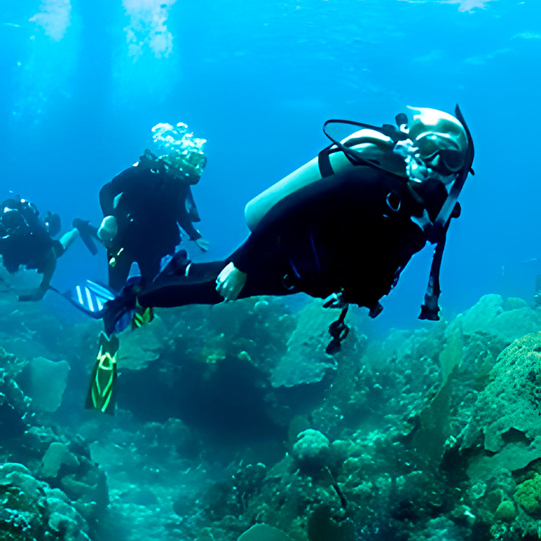 Queensland SDI Scubility Discovery Dive