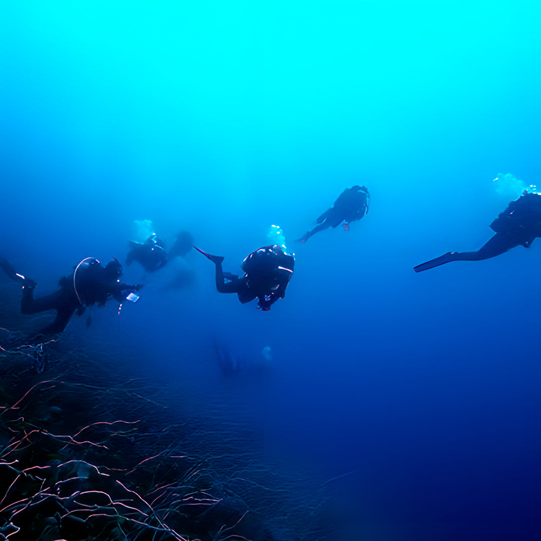 Scubility Dive Buddy Course in Queensland