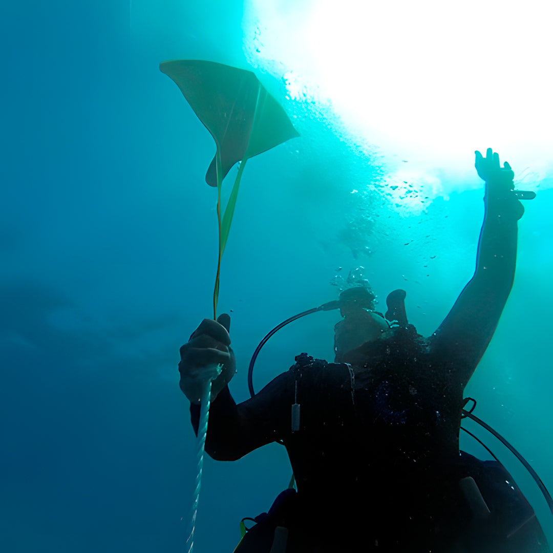 Queensland Search & Recovery Scuba Diver Course