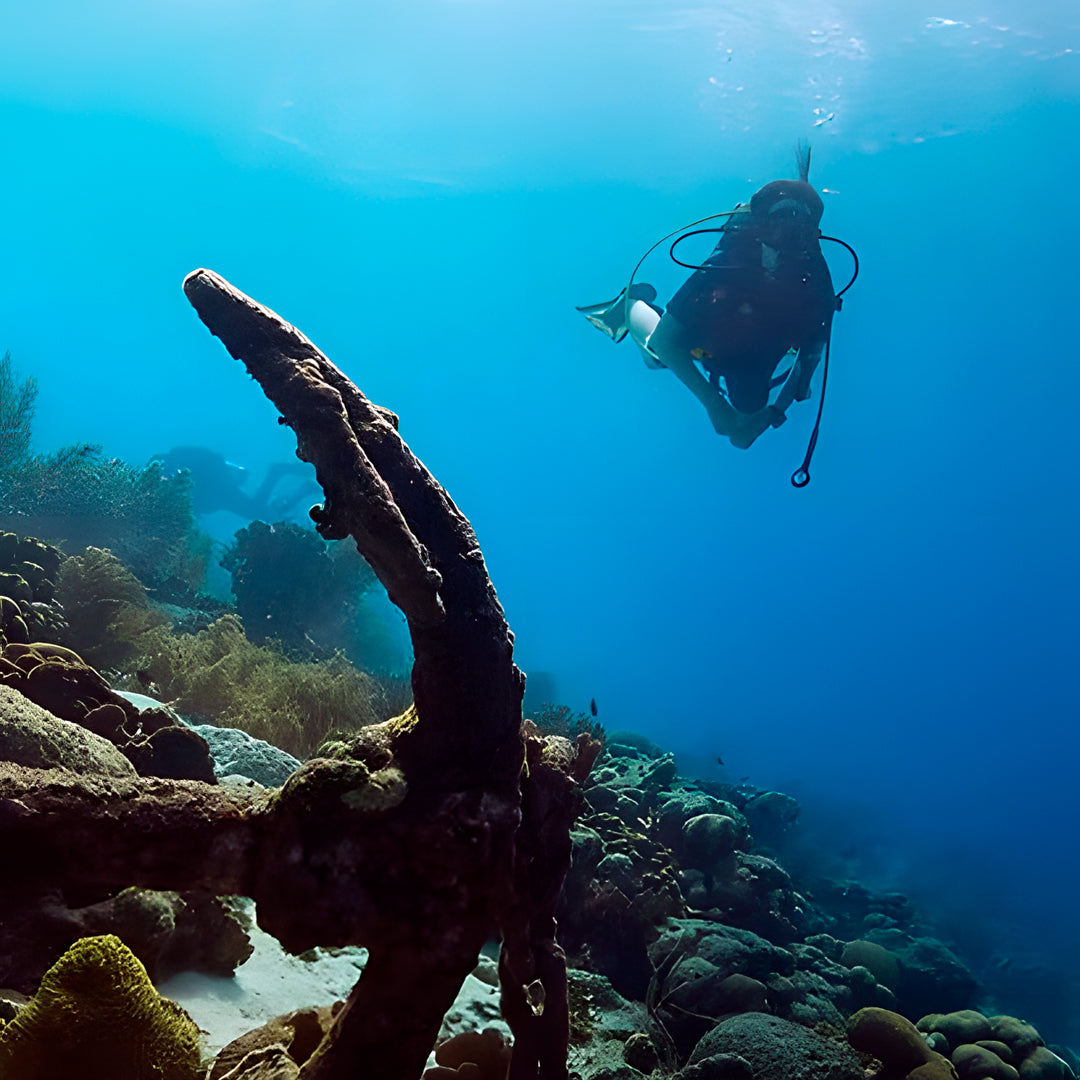 Queensland SDI Scubility Discovery Dive