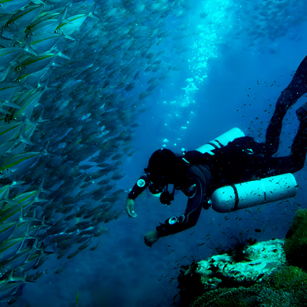 Equipment Specialist Course for Divers