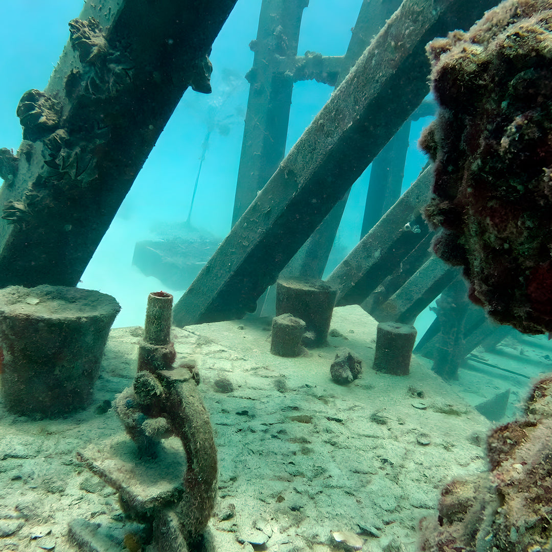 Queensland Search & Recovery Scuba Diver Course