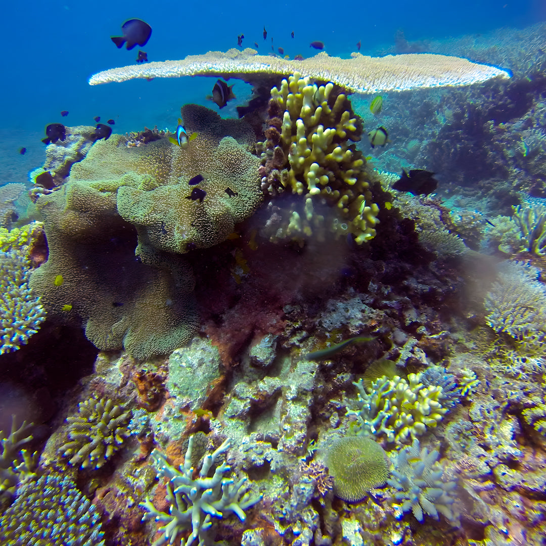 Queensland SDI Sidemount Diver Course