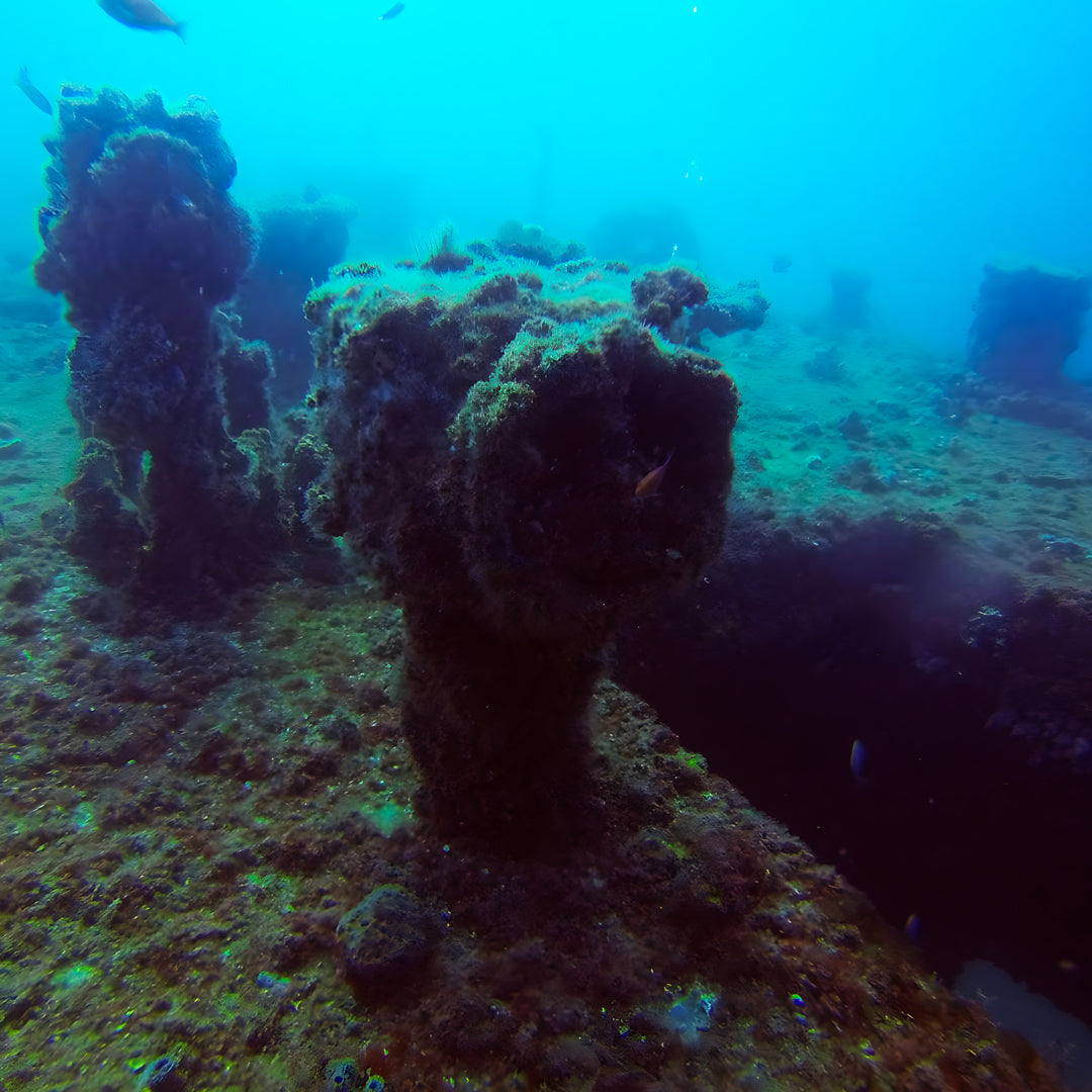 Queensland SDI Solo Diver Course
