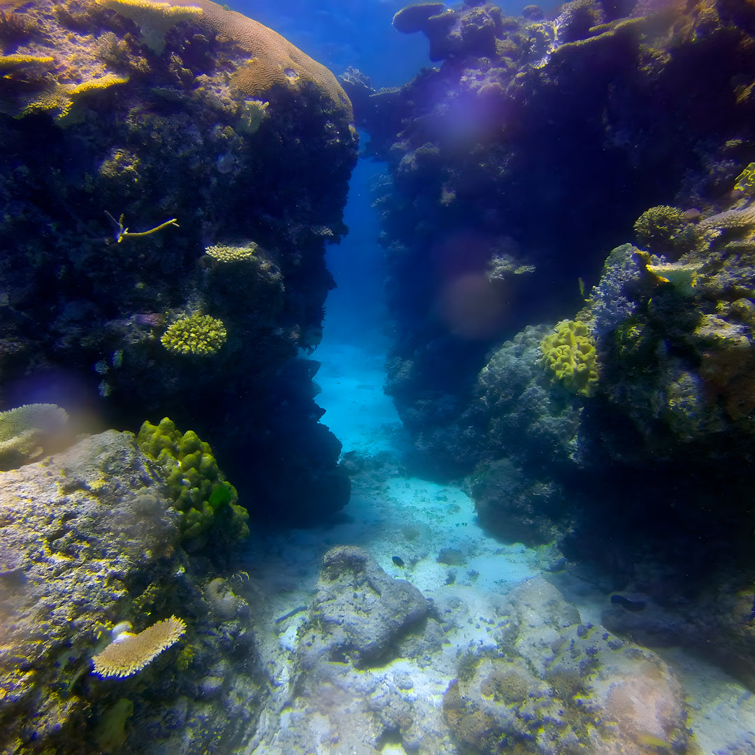 Scubility Dive Buddy Course in Queensland