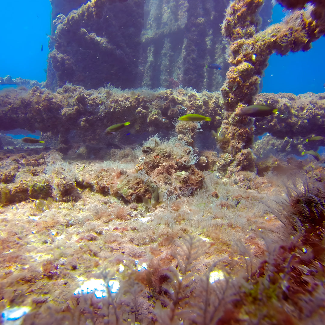 Full Face Mask Diver Course in Queensland