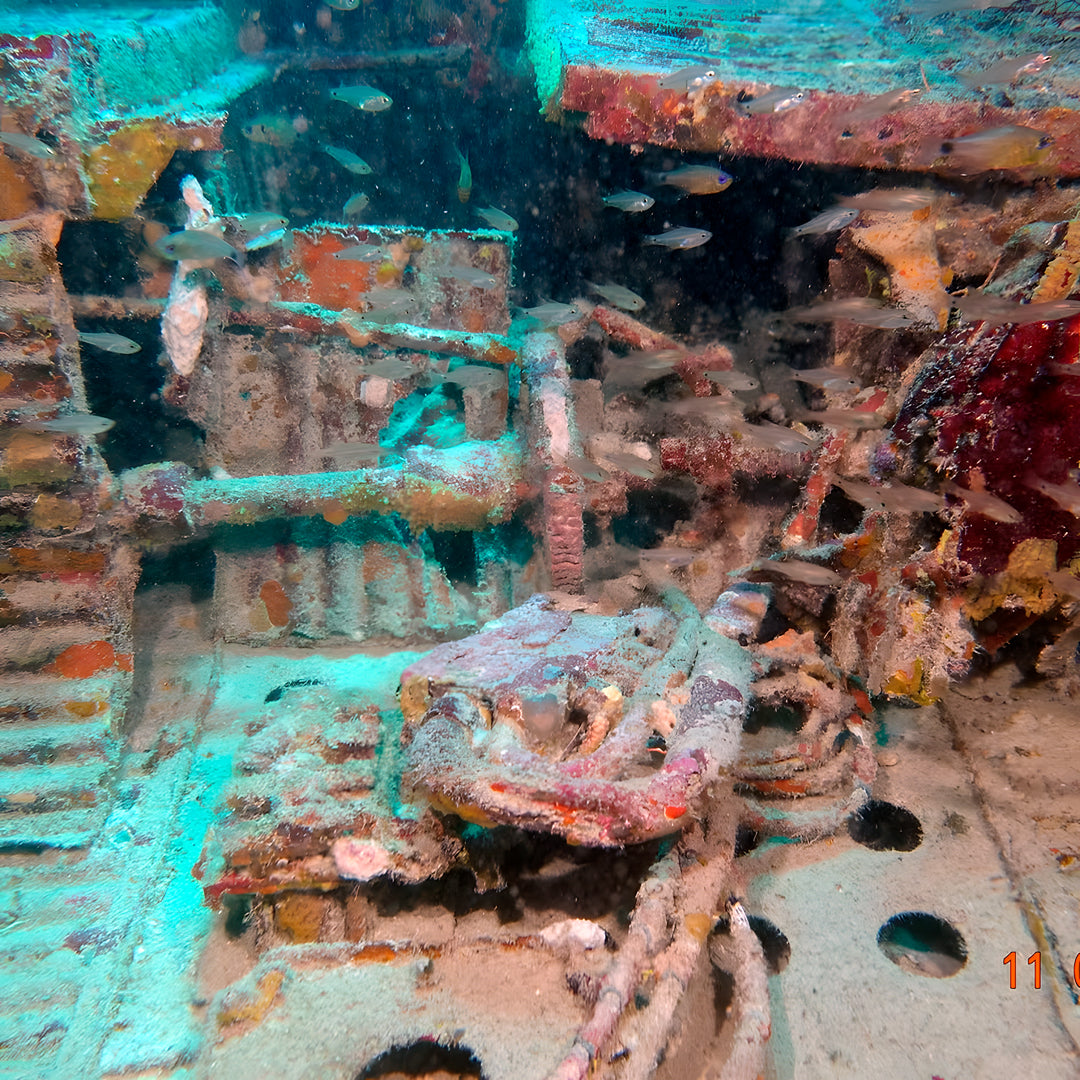 SDI Wreck Diver Course in Queensland