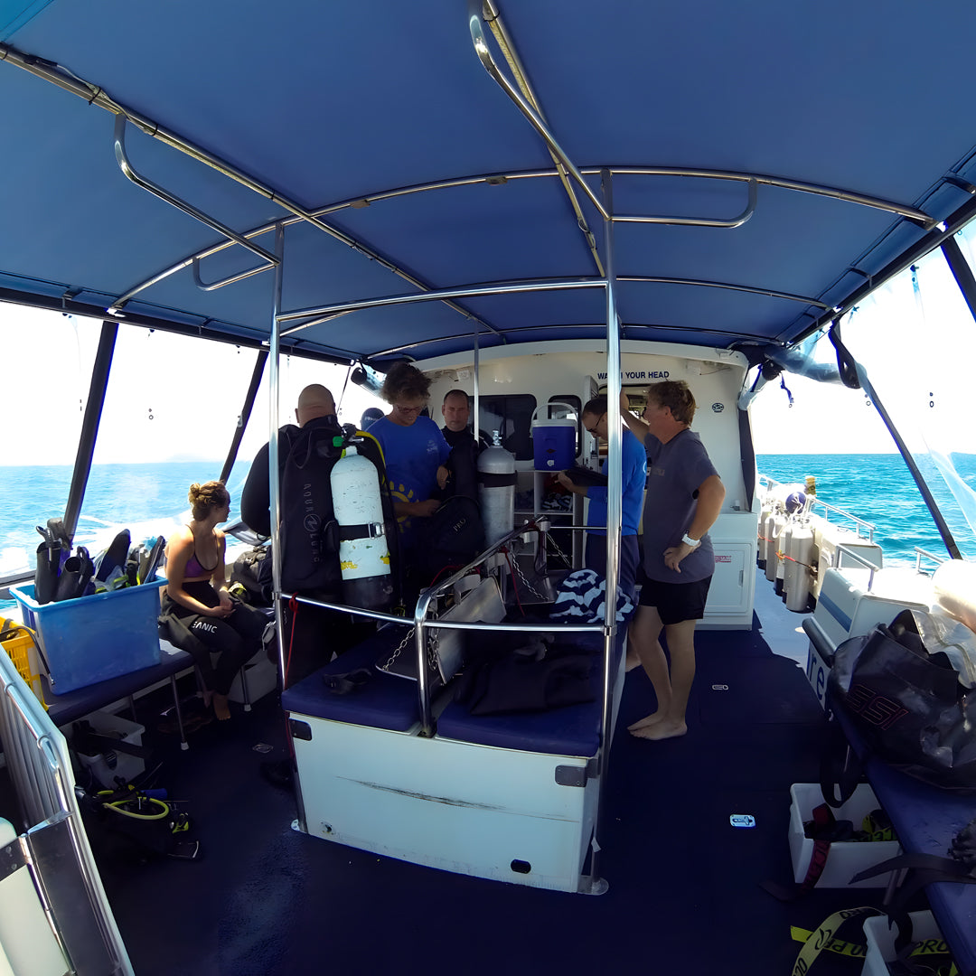 Scubility Snorkeling Experience in Queensland