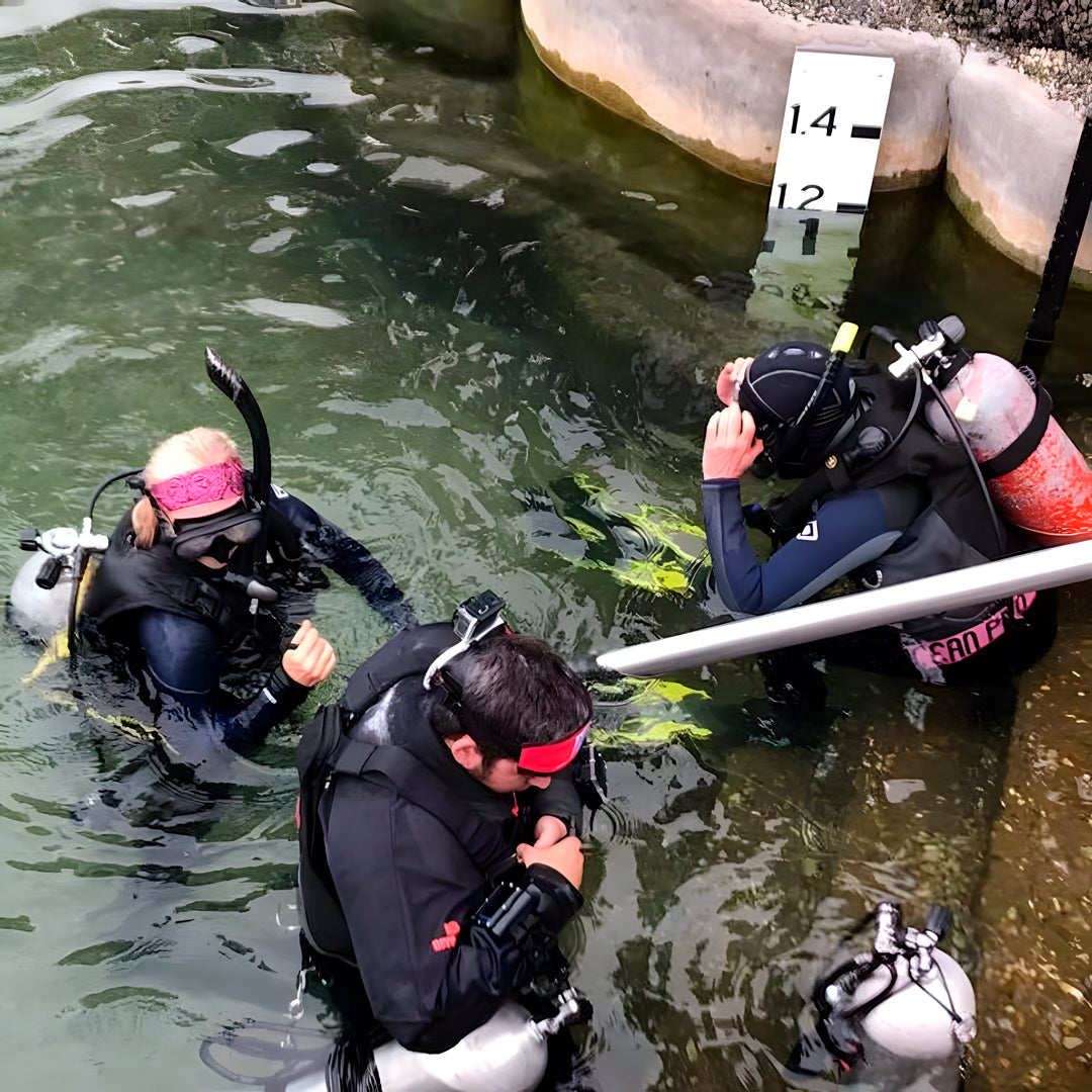Scubility Snorkeling Experience in Queensland