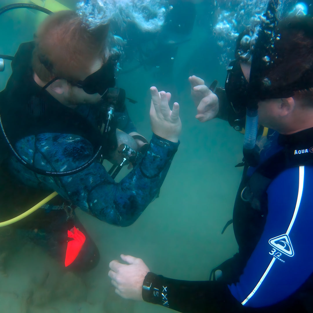 Scubility Dive Buddy Course in Queensland