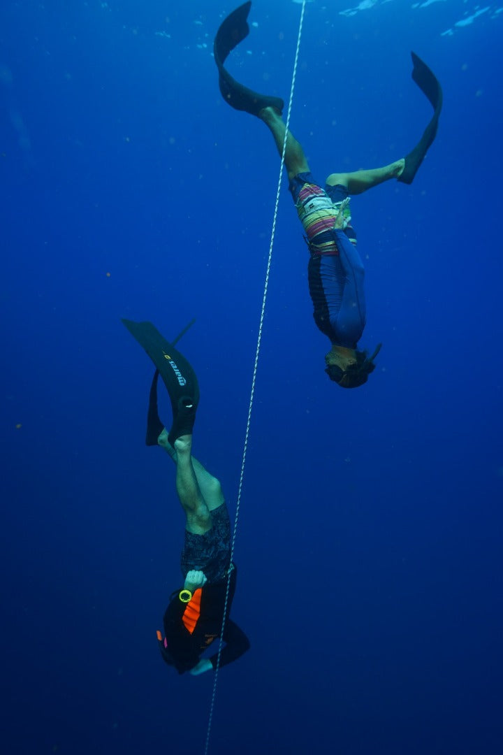 PADI Freedive Instructor Course