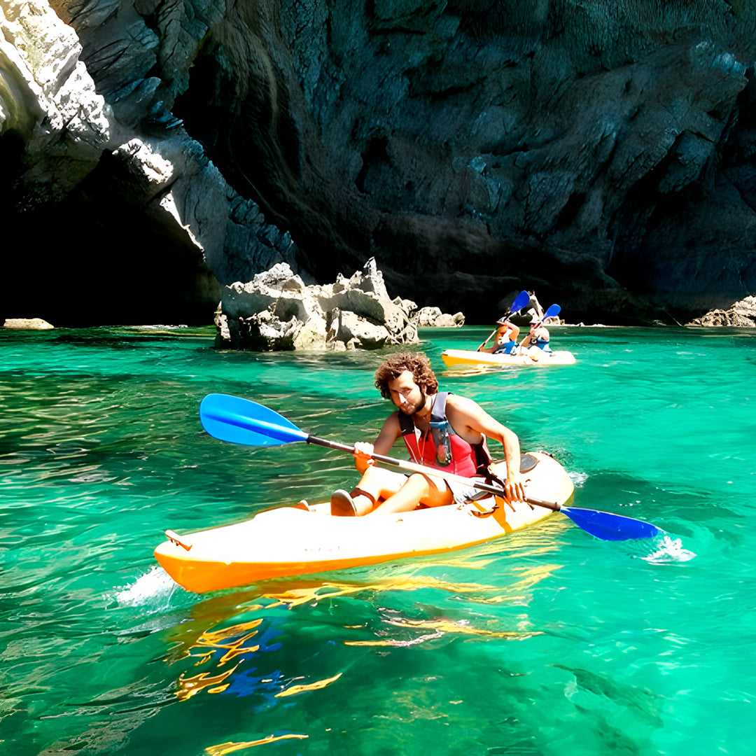 Wild Beach Kayak Tours
