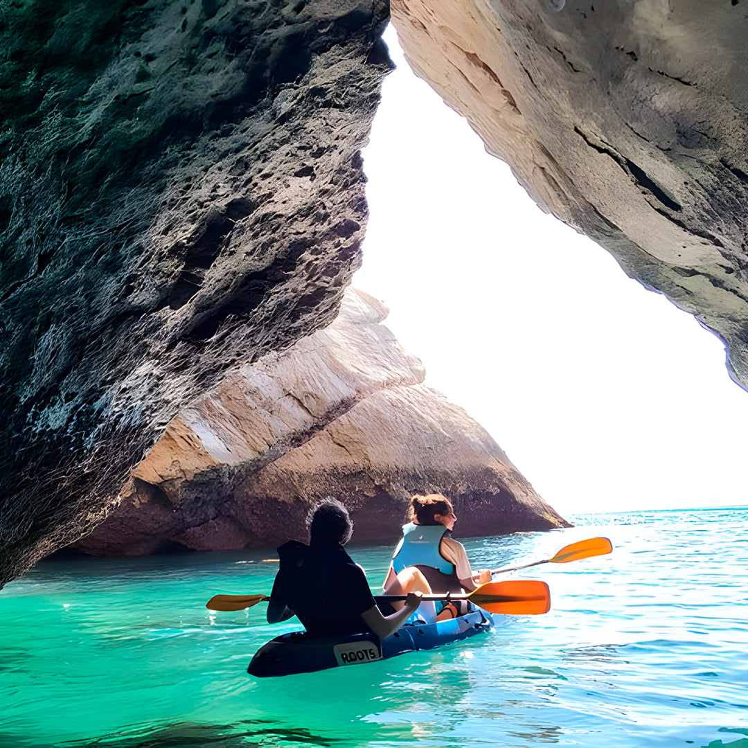Wild Beach Kayak Tours