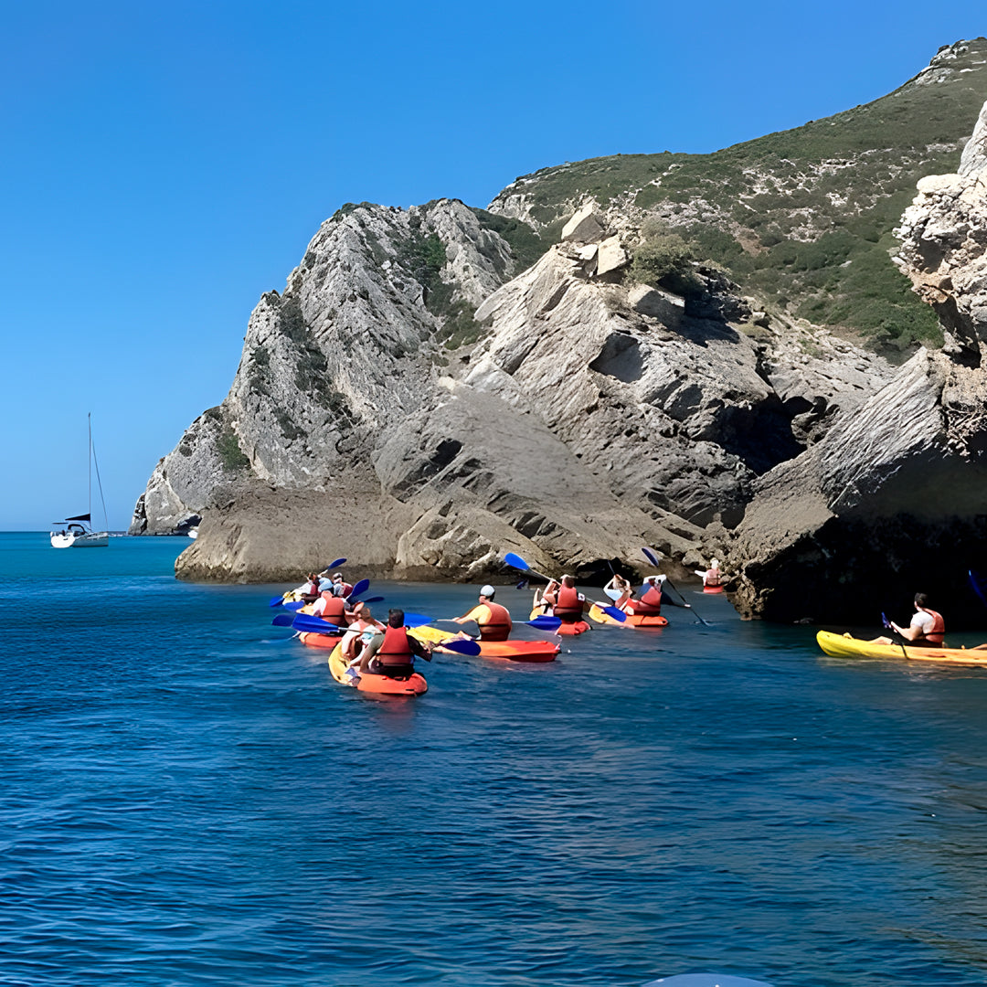 Wild Beach Kayak Tours