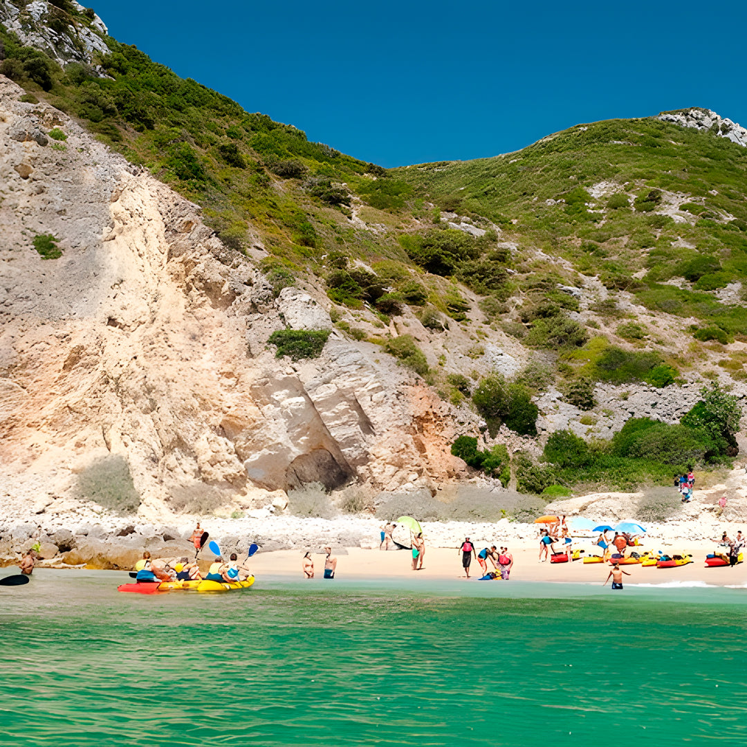 Wild Beach Kayak Tours