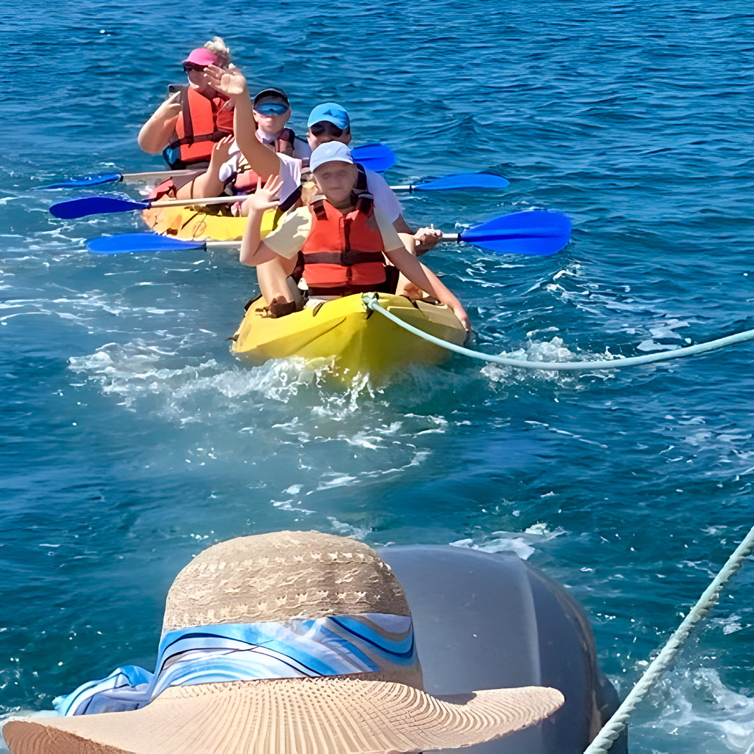 Wild Beach Kayak Tours