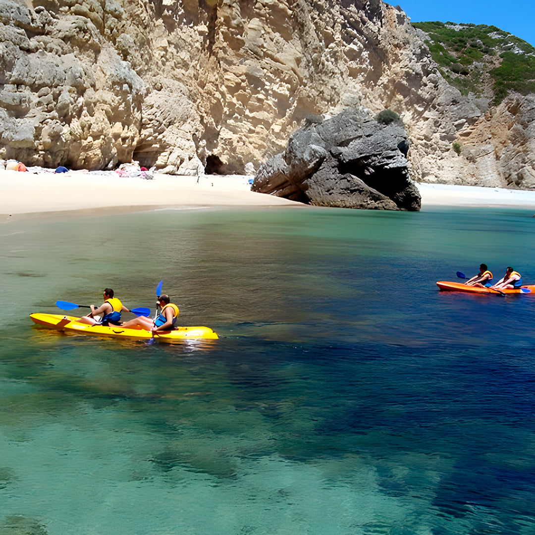 Wild Beach Kayak Tours
