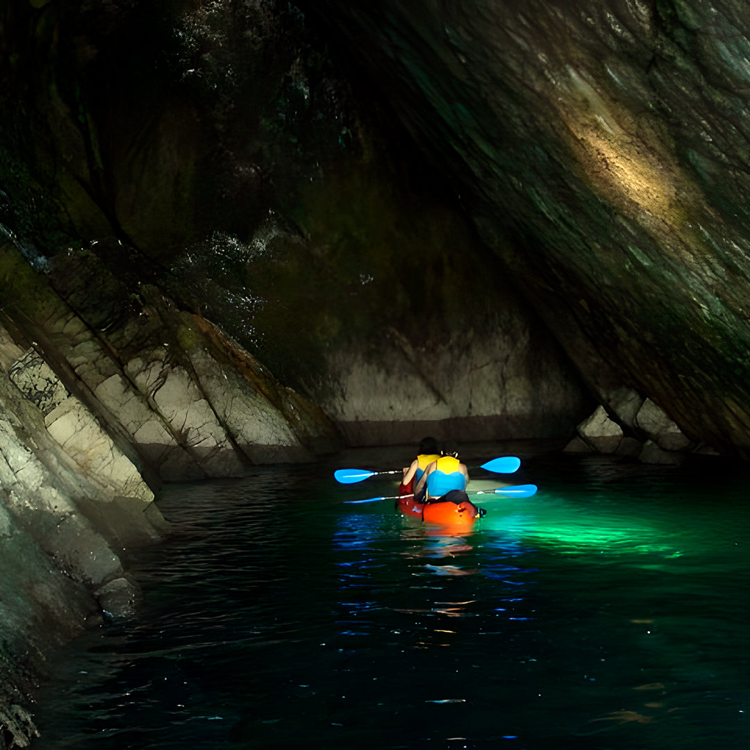 Wild Beach Kayak Tours