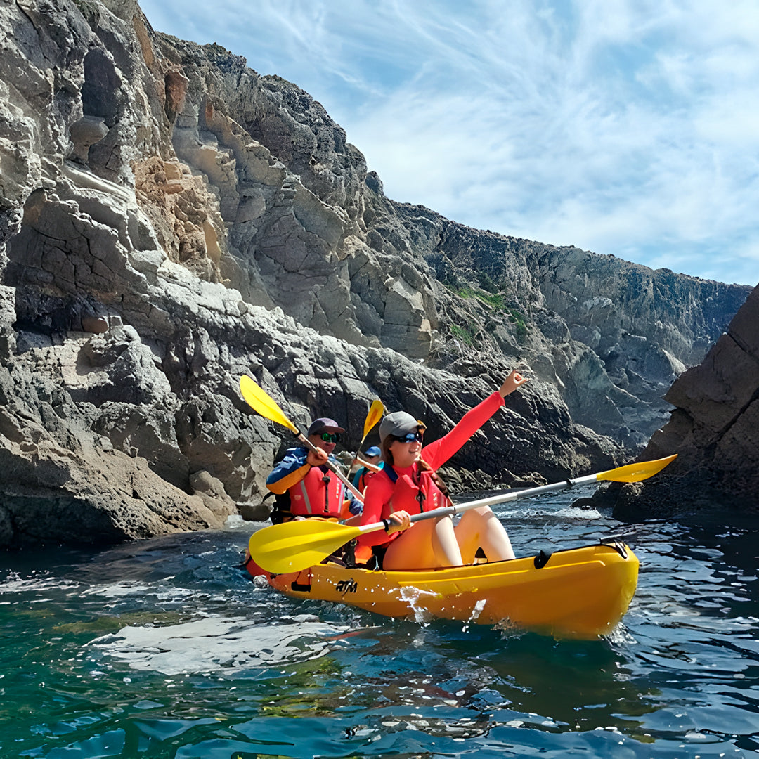 Wild Beach Kayak Tours