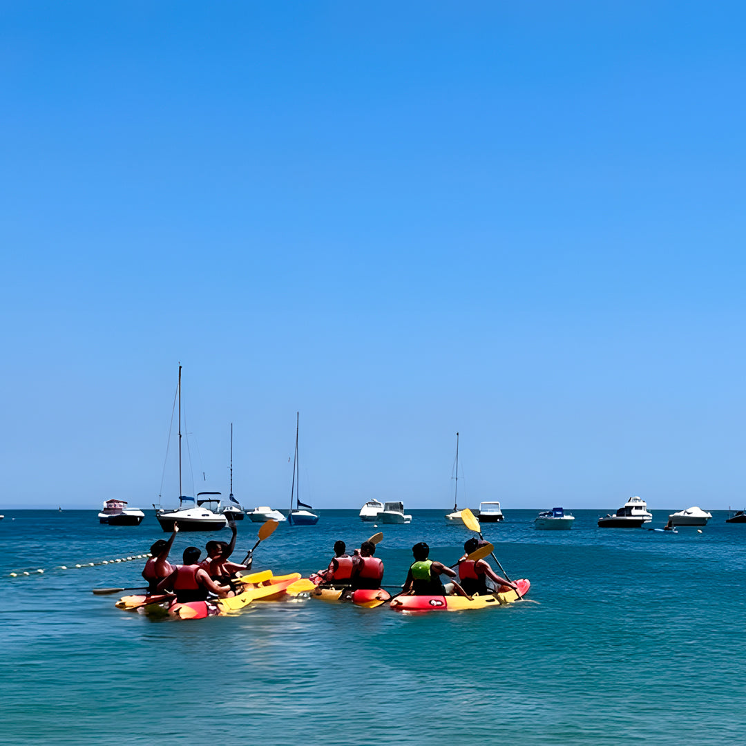 Wild Beach Kayak Tours