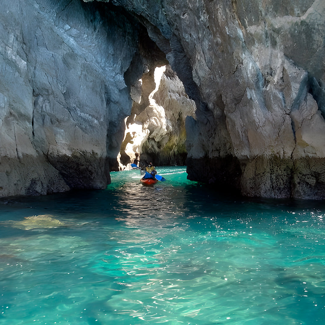 Wild Beach Kayak Tours