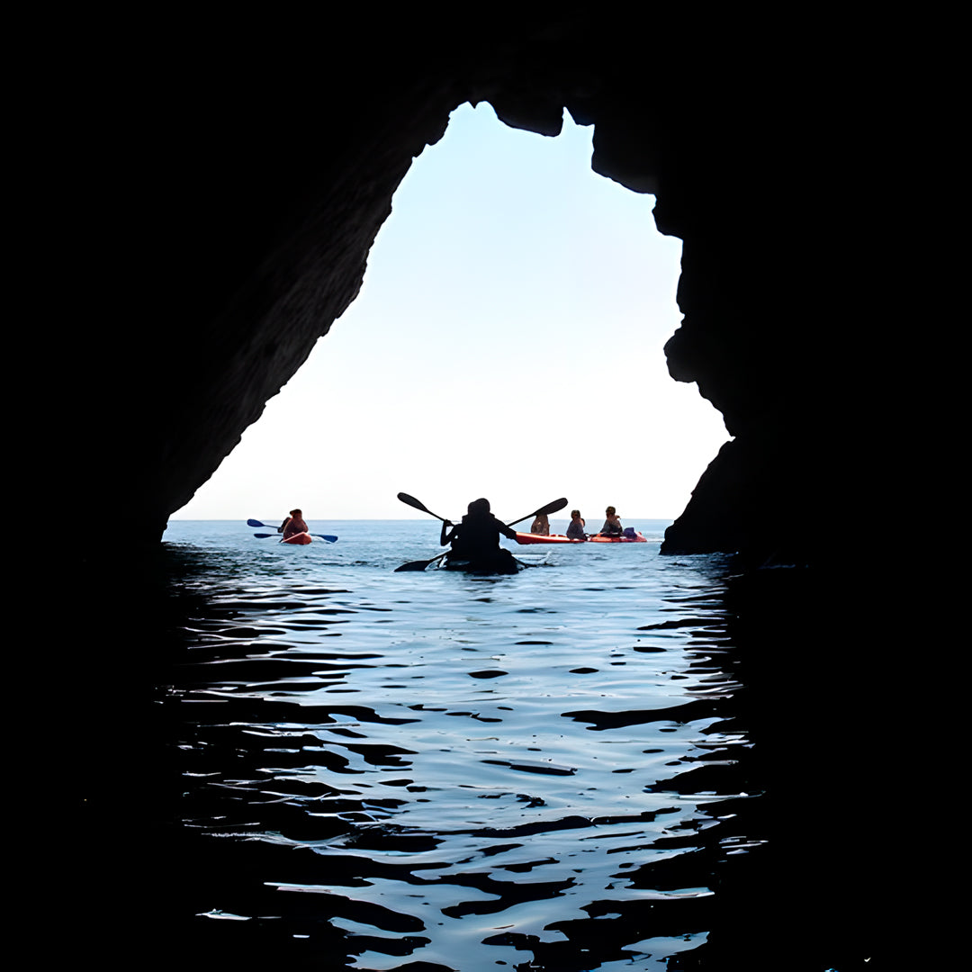 Wild Beach Kayak Tours