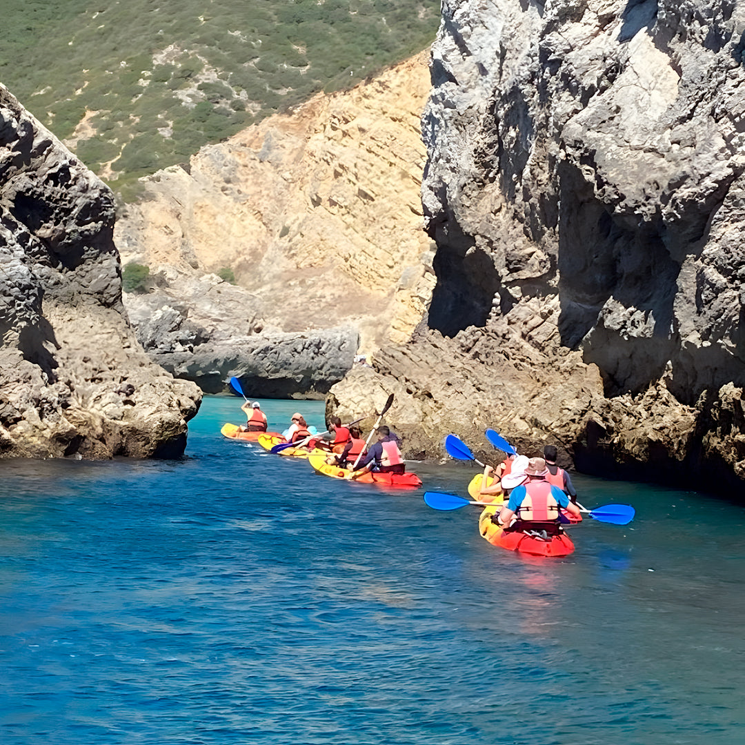 Wild Beach Kayak Tours