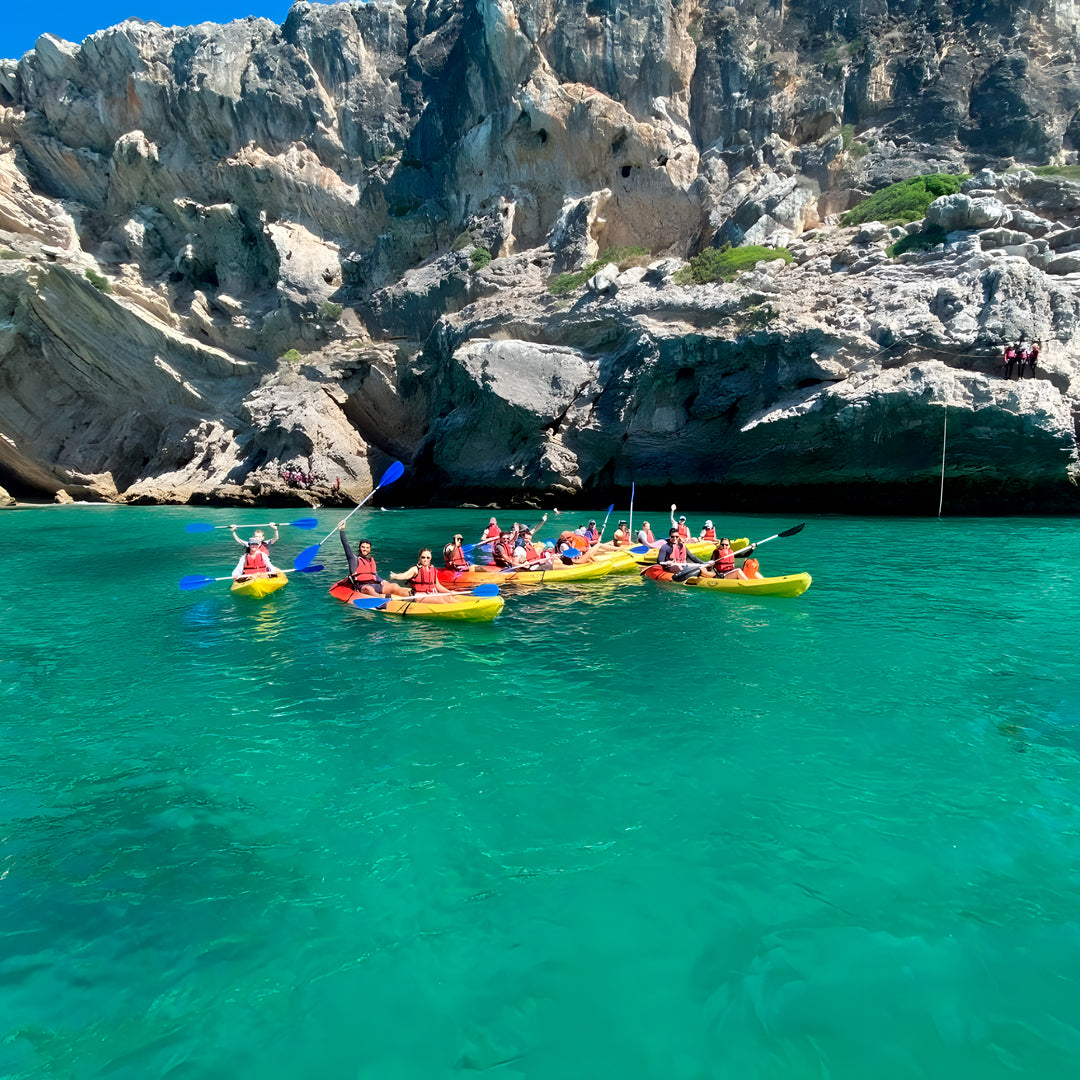 Wild Beach Kayak Tours
