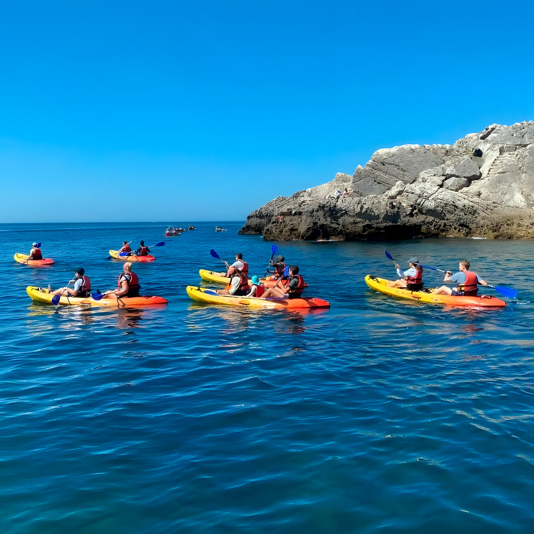 Wild Beach Kayak Tours