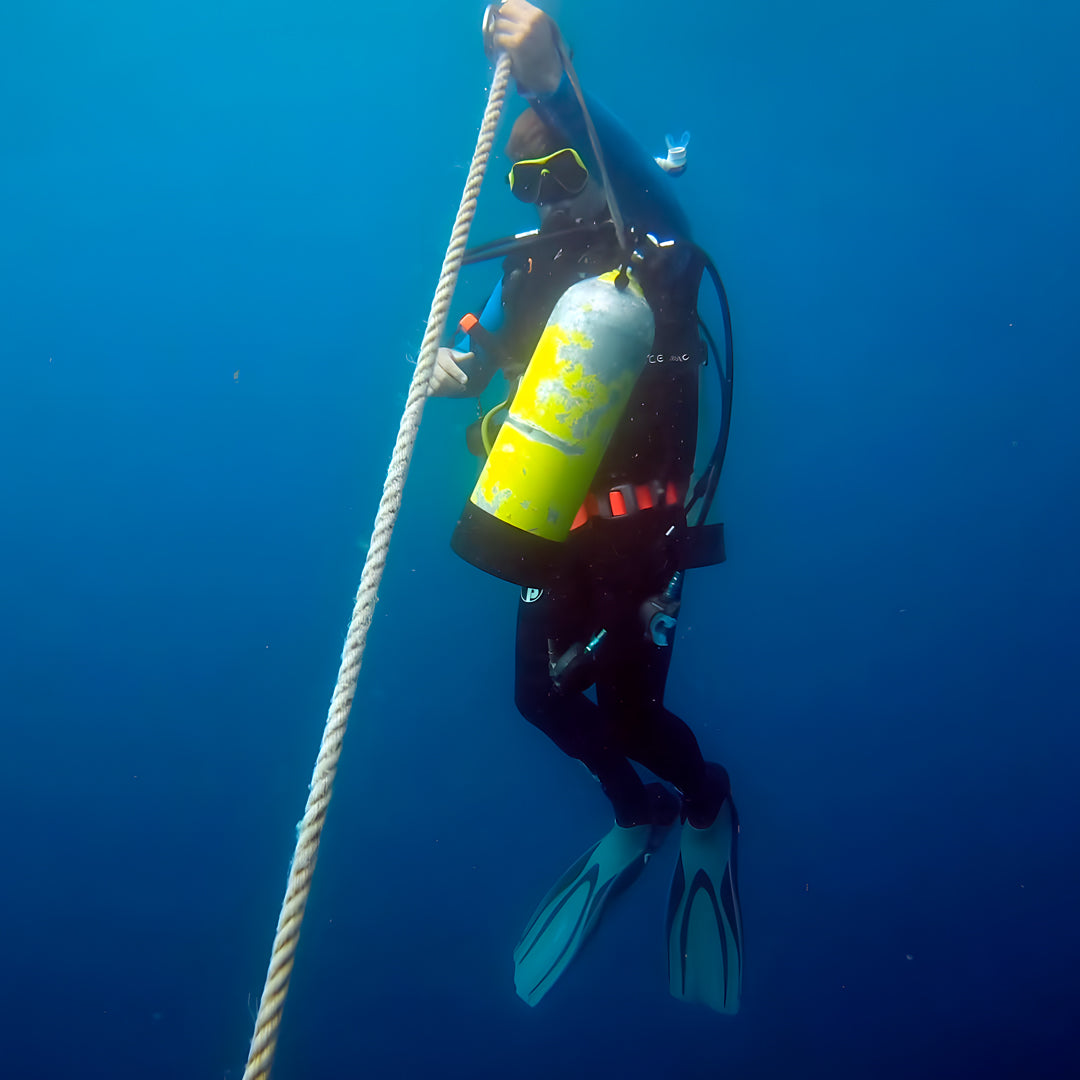 Grey Nurse Sharks Double Dive Charter Fun Dive