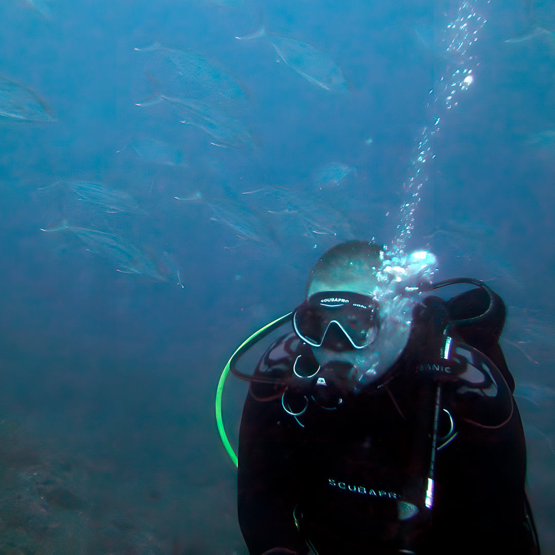 PADI Open Water Course in Rainbow Beach