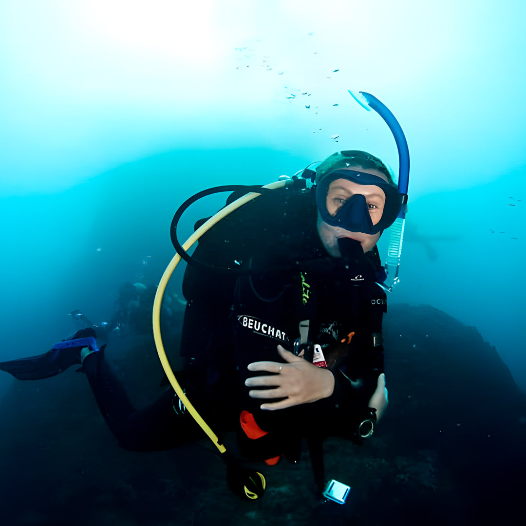 Grey Nurse Sharks Double Dive Charter Fun Dive