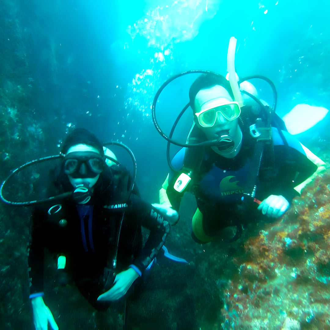 Grey Nurse Sharks Double Dive Charter Fun Dive
