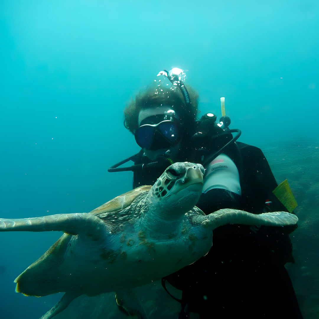 Discover Scuba Diving in Rainbow Beach