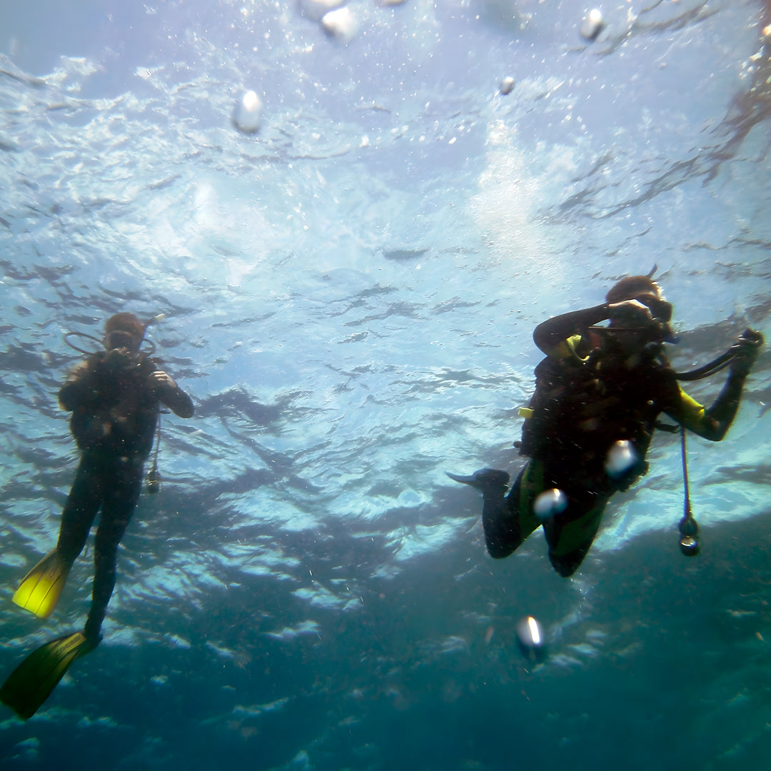 Discover Scuba Diving in Rainbow Beach