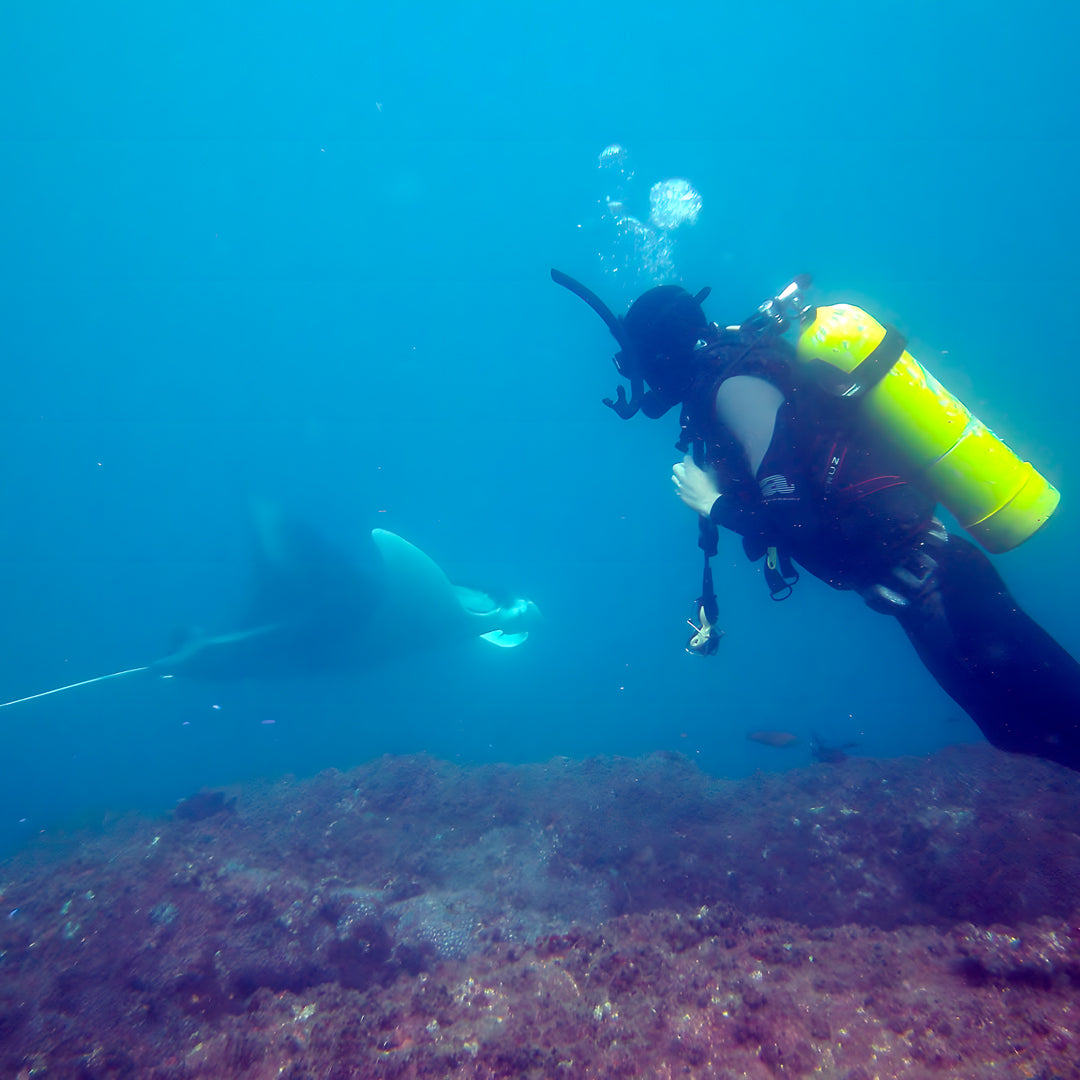 Discover Scuba Diving in Rainbow Beach