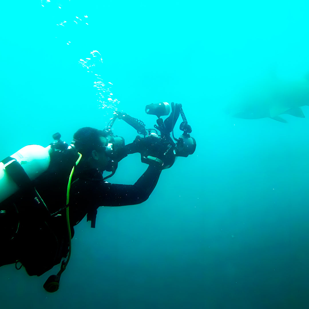PADI Open Water Course in Rainbow Beach