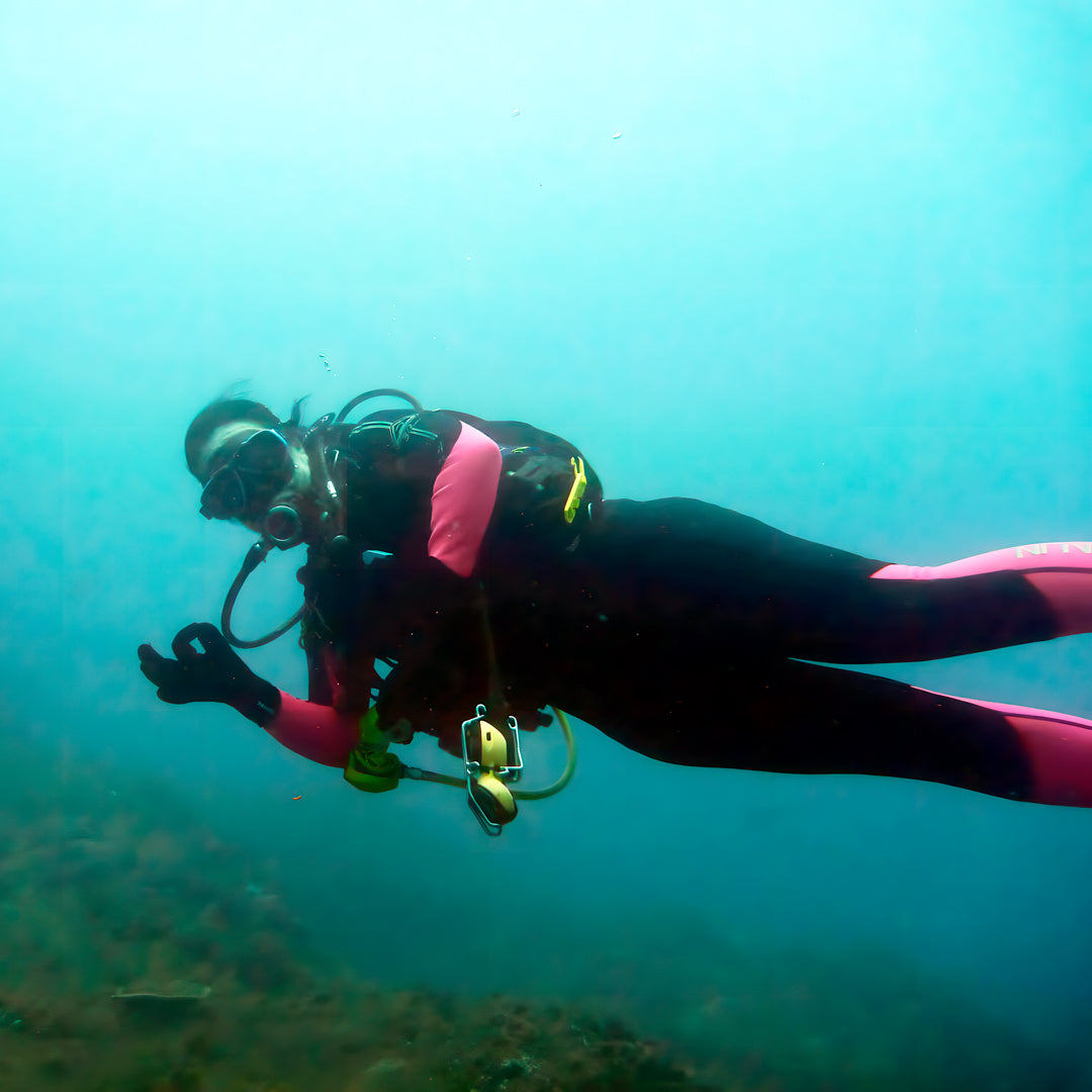 Grey Nurse Sharks Double Dive Charter Fun Dive