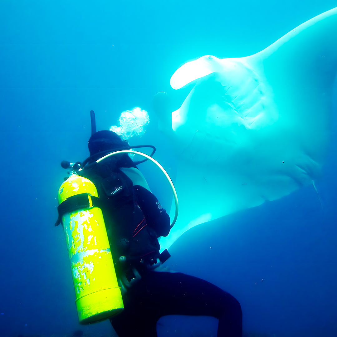 Advanced Open Water Diving Course in Rainbow Beach