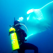 Advanced Open Water Diving Course in Rainbow Beach