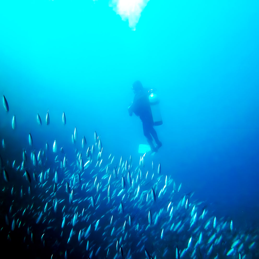 Discover Scuba Diving in Rainbow Beach