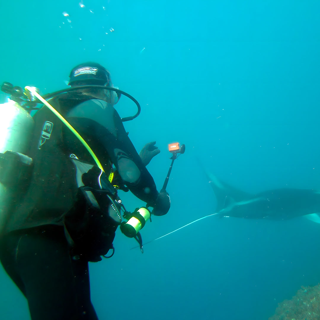 PADI Open Water Course in Rainbow Beach