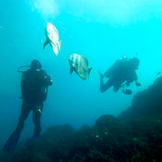PADI Open Water Course in Rainbow Beach