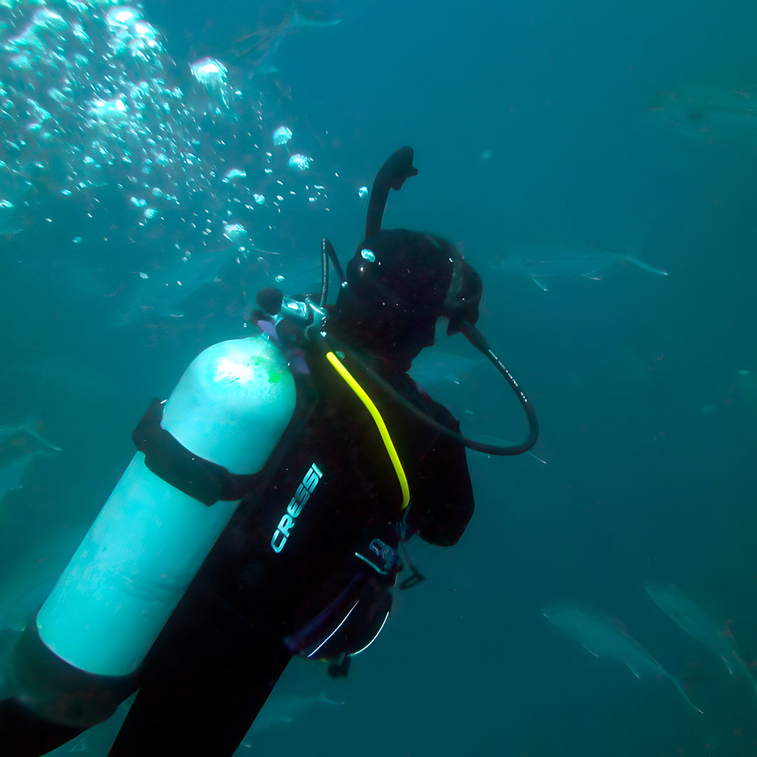Discover Scuba Diving in Rainbow Beach